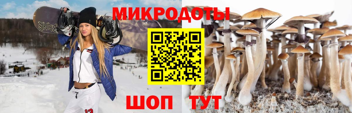 Псилоцибиновые грибы Magic Shrooms Новочебоксарск
